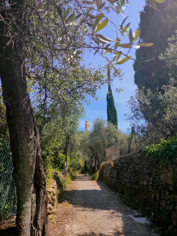 sant ambrogio campanile zoagli golfo tigullio sui miei passi